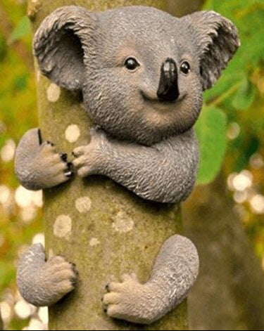 Koala bear tree peeker