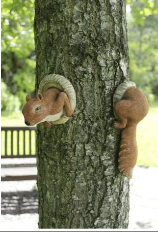 Red Squirrel Garden Animal Tree Peeker
