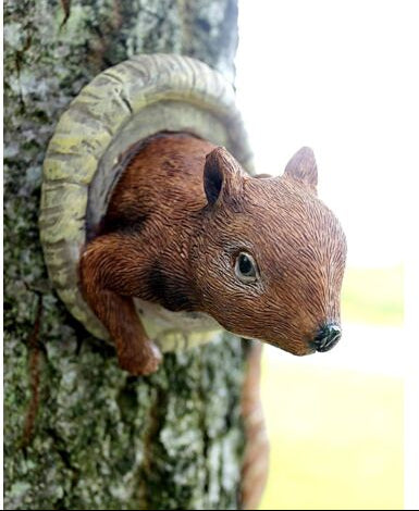 Red Squirrel Garden Animal Tree Peeker
