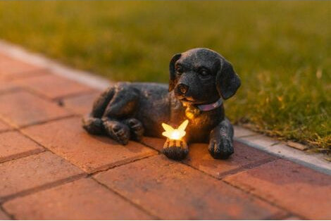black labrador puppy statue with solar butterfly