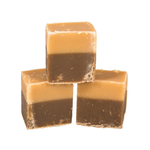 Fudge Factory Chocolate & Vanilla 2Kg