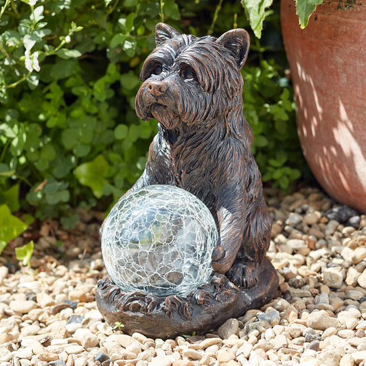 Dog Solar Light White & Colour Changing LEDs 20cm