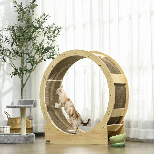Cat Treadmill