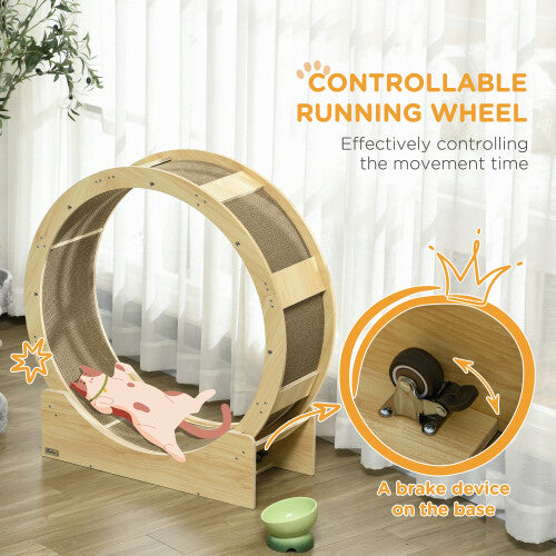 Cat Treadmill