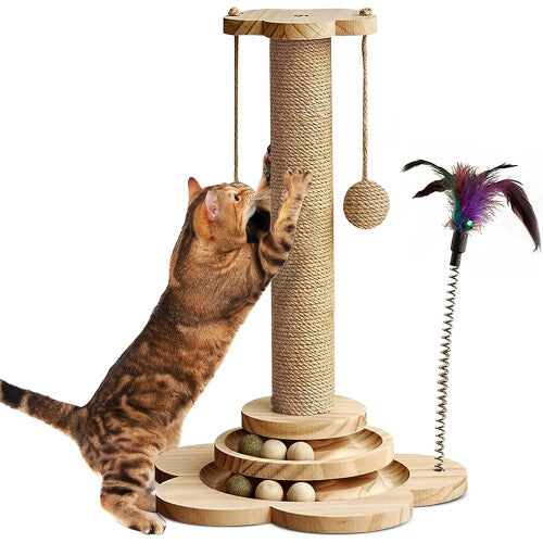Tower Kitten Activity Centre