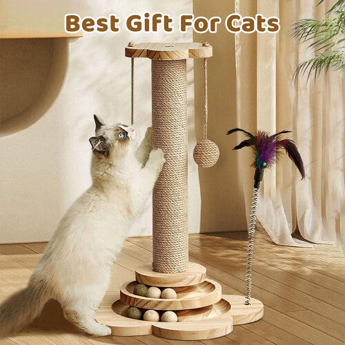 Tower Kitten Activity Centre