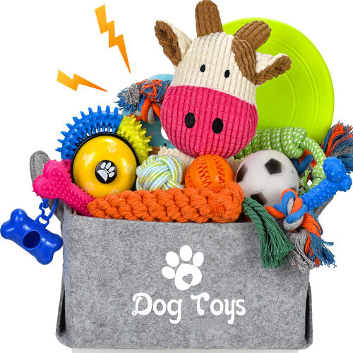 21 PACK Puppy Starter Toys Set