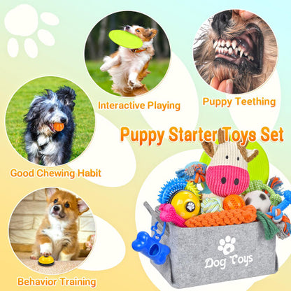 21 PACK Puppy Starter Toys Set